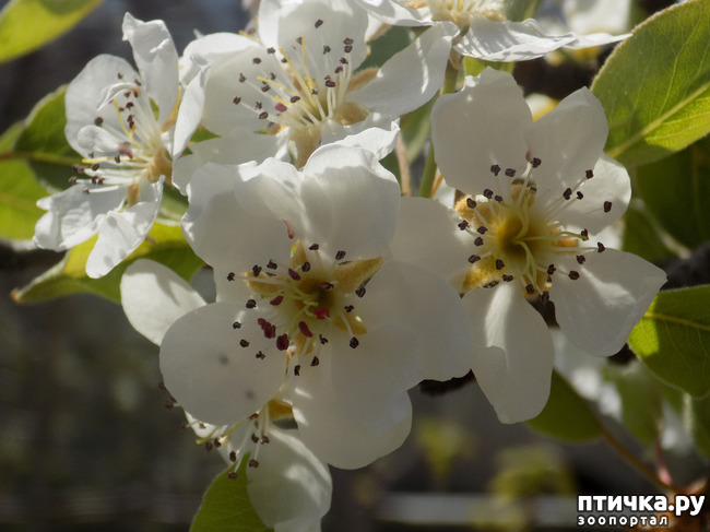 ���� 10: ������� �������� ������� � �������