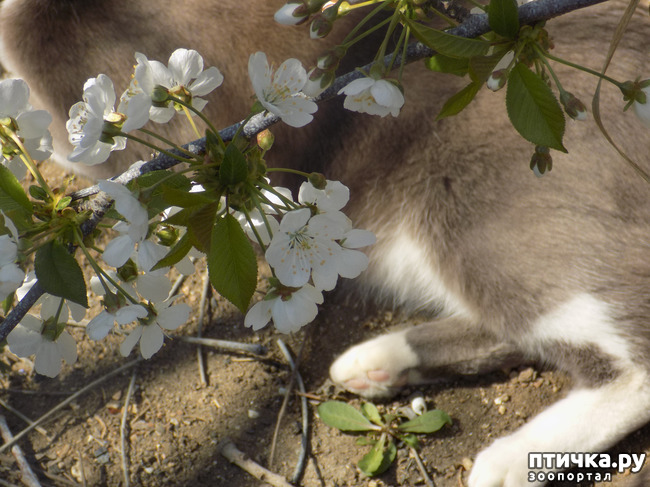 ���� 11: ������� �������� ������� � �������