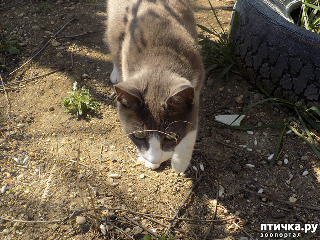 ���� 12: ������� �������� ������� � �������