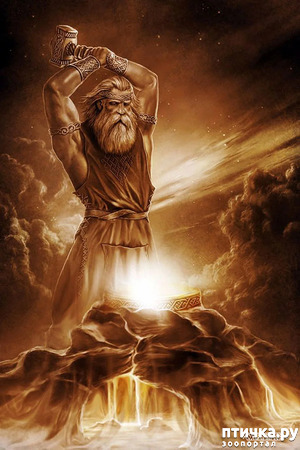 ����: ������