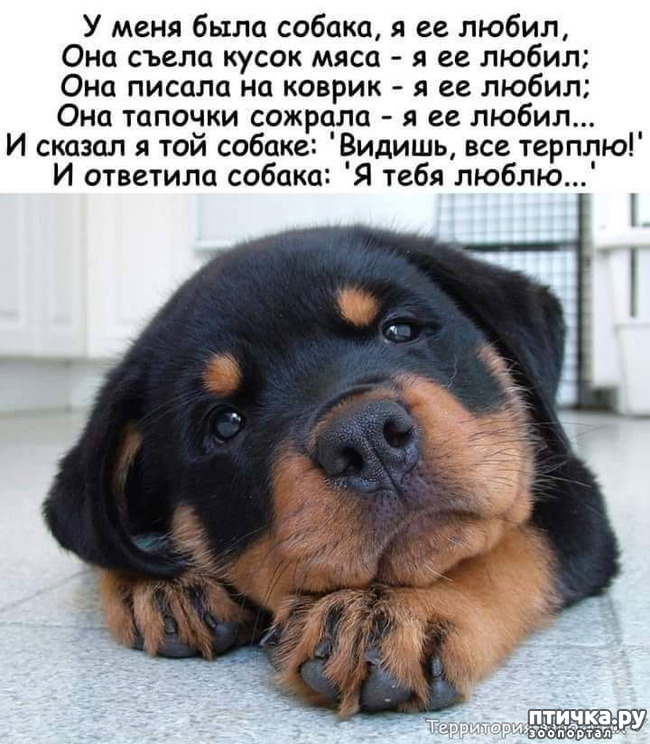 ���� 1: � ���� ���� ������...