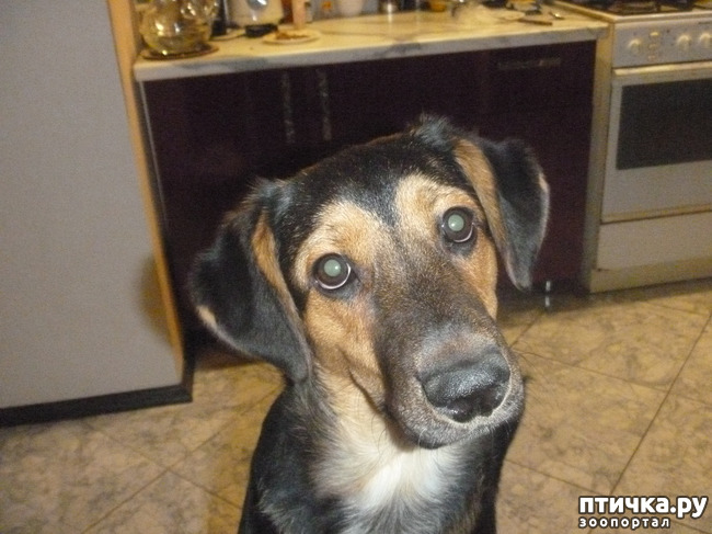 ���� 2: � ���� ���� ������...