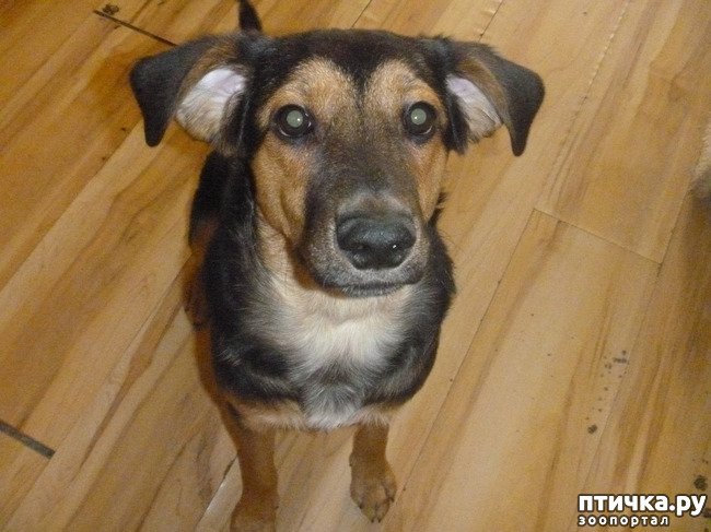 ���� 3: � ���� ���� ������...