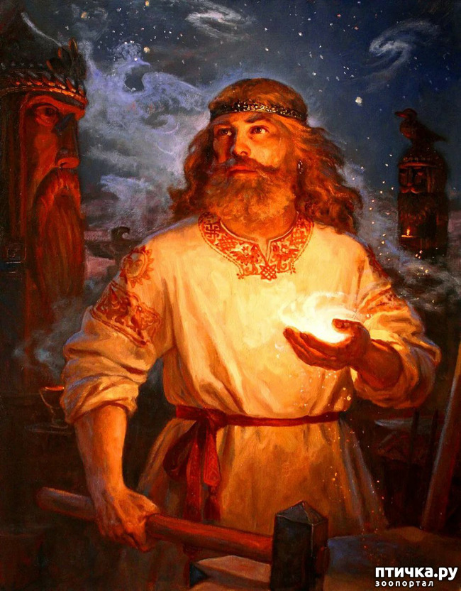 ���� 2: ������