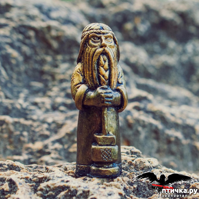 ���� 4: ������