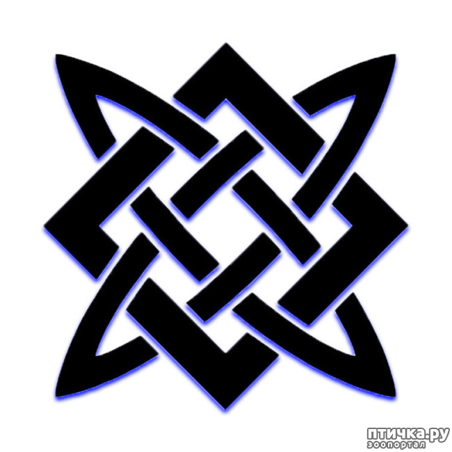 ���� 5: ������