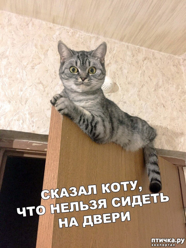 ���� 1: ��� ������� ������ � ���������