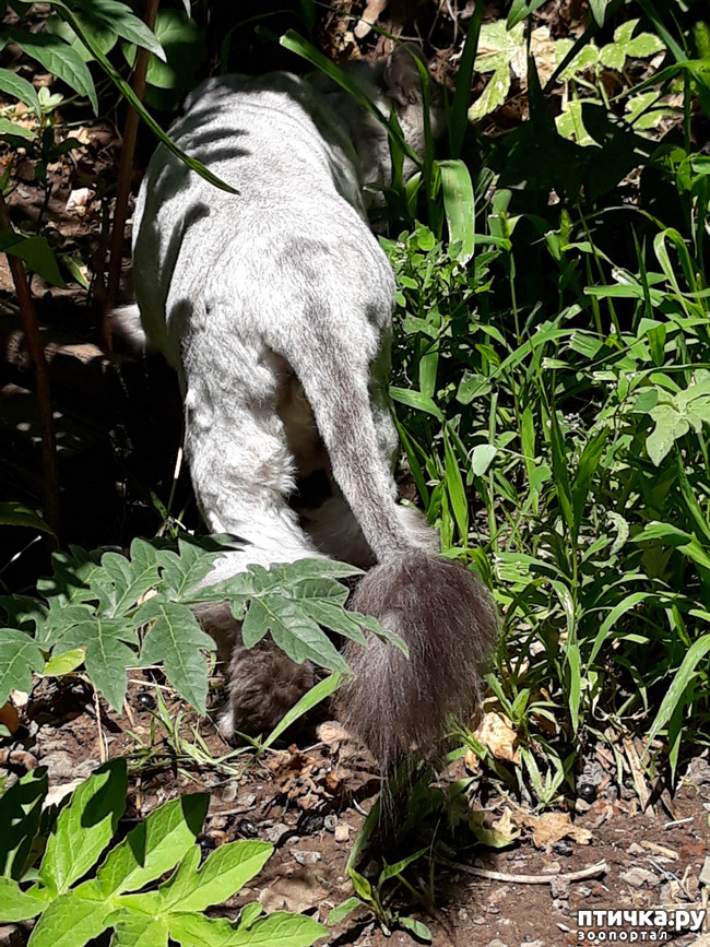 ���� 1: ������ ��� �� ������? ��� � ��� ������.