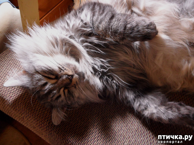 ���� 2: ������ ��� �� ������? ��� � ��� ������.