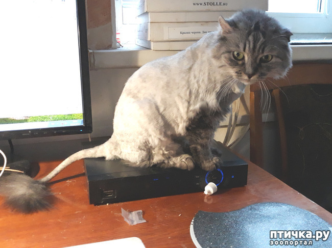 ���� 3: ������ ��� �� ������? ��� � ��� ������.