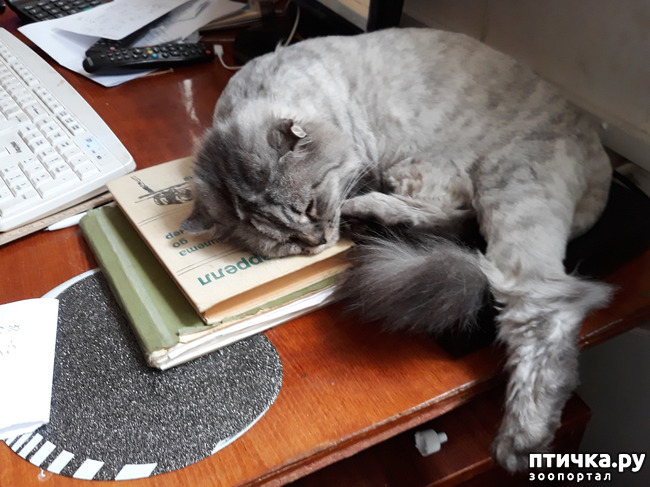 ���� 4: ������ ��� �� ������? ��� � ��� ������.