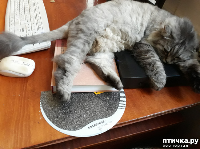 ���� 5: ������ ��� �� ������? ��� � ��� ������.