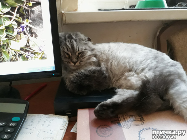 ���� 6: ������ ��� �� ������? ��� � ��� ������.