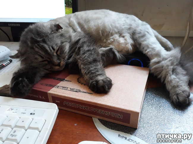 ���� 7: ������ ��� �� ������? ��� � ��� ������.