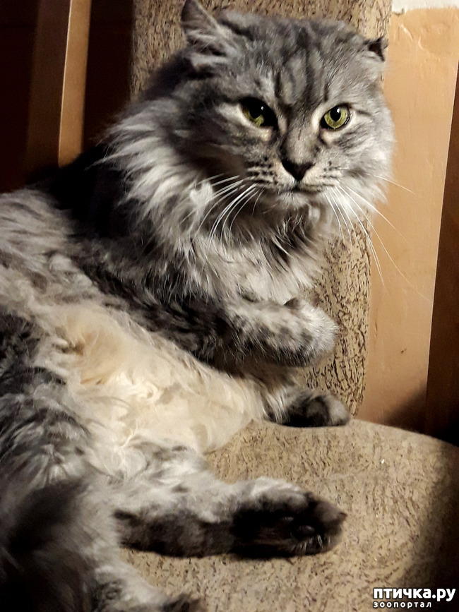 ���� 8: ������ ��� �� ������? ��� � ��� ������.