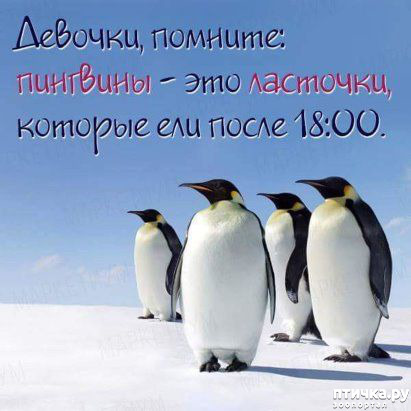 ���� 37: ������� � ������ ������ 3