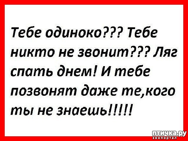 ���� 26: ������� � ������ ������ 3