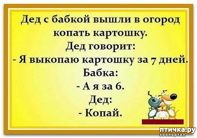 ���� 40: ������� � ������ ������ 3