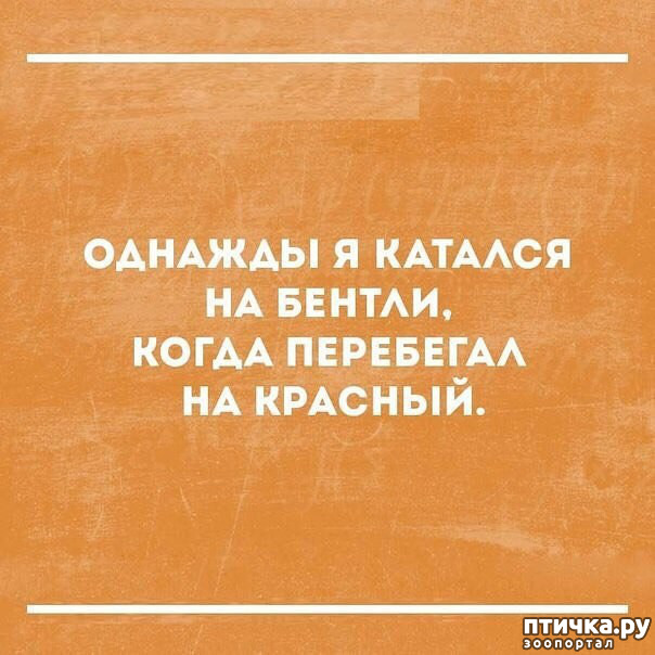 ���� 39: ������� � ������ ������ 3