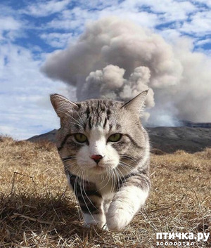 ����: ������ ���� � �����