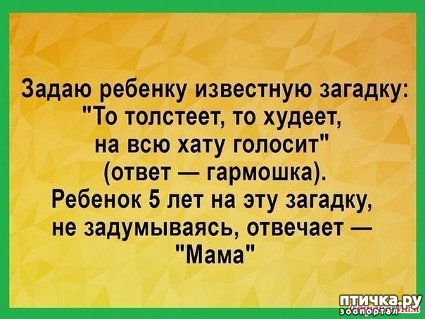 ���� 43: ������� � ������ ������ 3