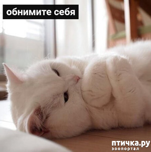 ����: �������� ������ �� �����... ��� ��� - ������� ����: