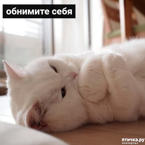 ���� 1: �������� ������ �� �����... ��� ��� - ������� ����: