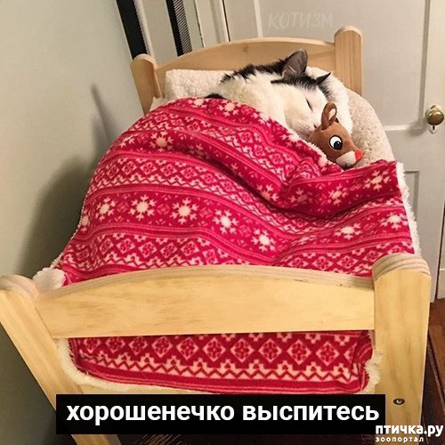 ���� 2: �������� ������ �� �����... ��� ��� - ������� ����: