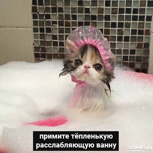 ���� 3: �������� ������ �� �����... ��� ��� - ������� ����: