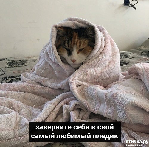 ���� 4: �������� ������ �� �����... ��� ��� - ������� ����: