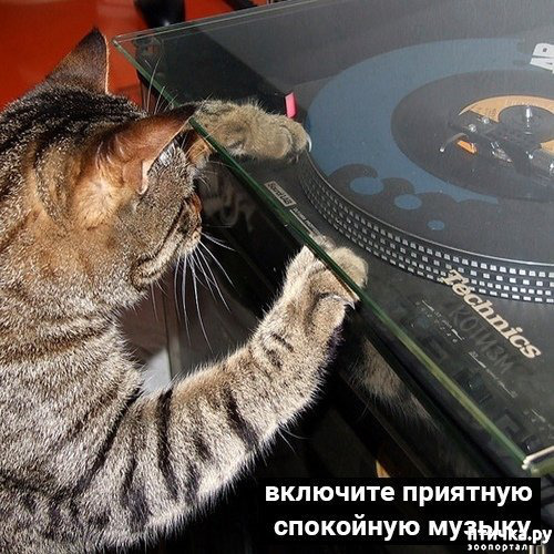 ���� 5: �������� ������ �� �����... ��� ��� - ������� ����: