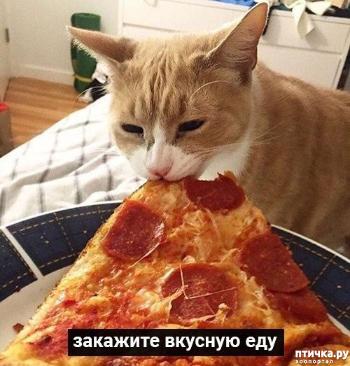 ���� 7: �������� ������ �� �����... ��� ��� - ������� ����: