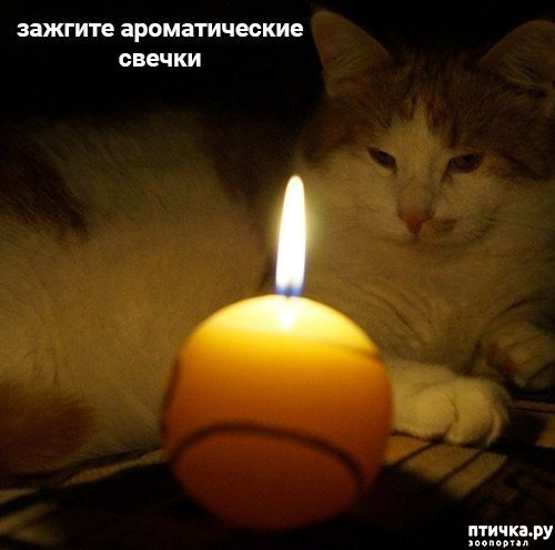 ���� 8: �������� ������ �� �����... ��� ��� - ������� ����: