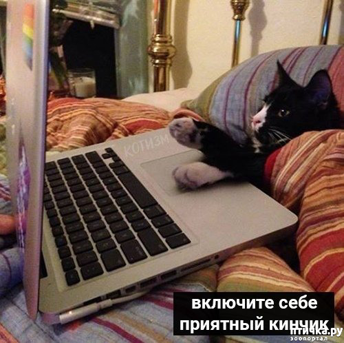 ���� 9: �������� ������ �� �����... ��� ��� - ������� ����: