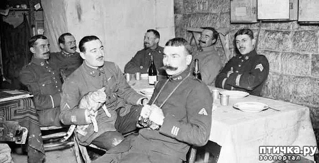 ���� 6: ������ ���� � �����