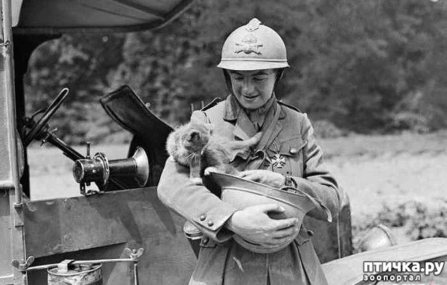 ���� 7: ������ ���� � �����