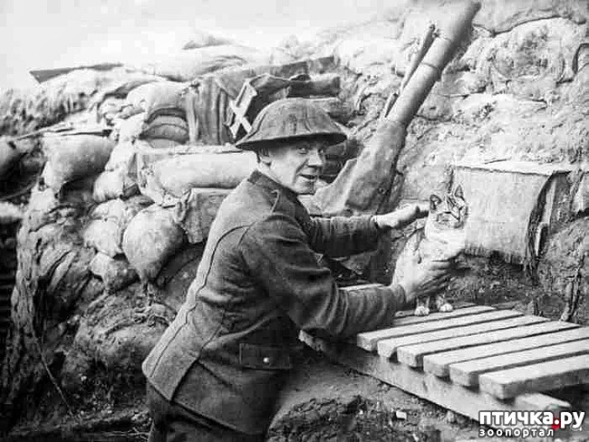 ���� 3: ������ ���� � �����