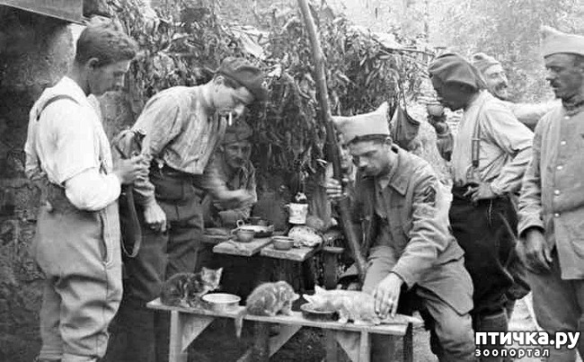 ���� 4: ������ ���� � �����