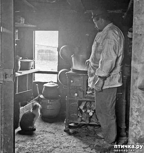 ���� 5: ������ ���� � �����