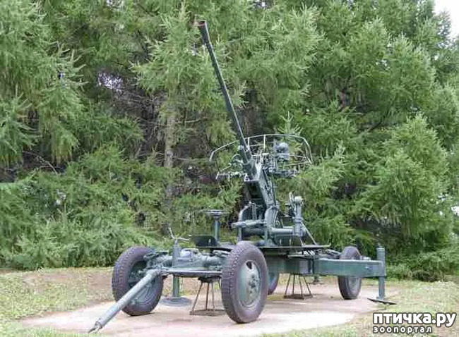 ���� 8: ������ ���� � �����