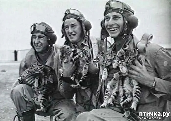 ���� 9: ������ ���� � �����