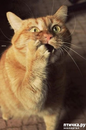 ����: ������� � ������ ������ 3