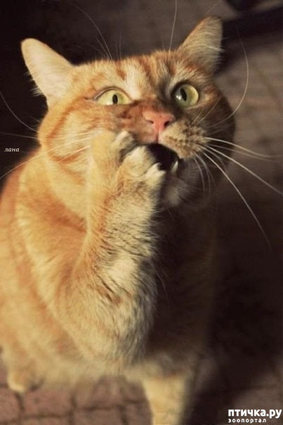 ���� 1: ������� � ������ ������ 3