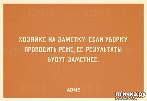 ���� 3: ������� � ������ ������ 3