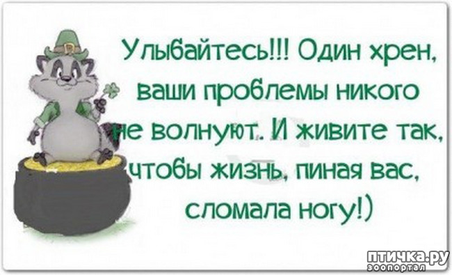 ���� 7: ������� � ������ ������ 3