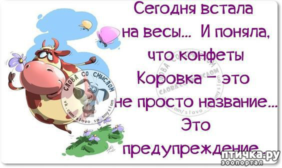 ���� 11: ������� � ������ ������ 3