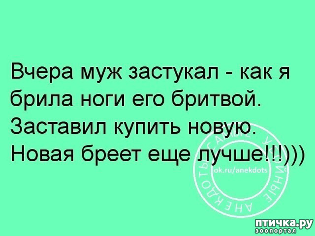 ���� 12: ������� � ������ ������ 3