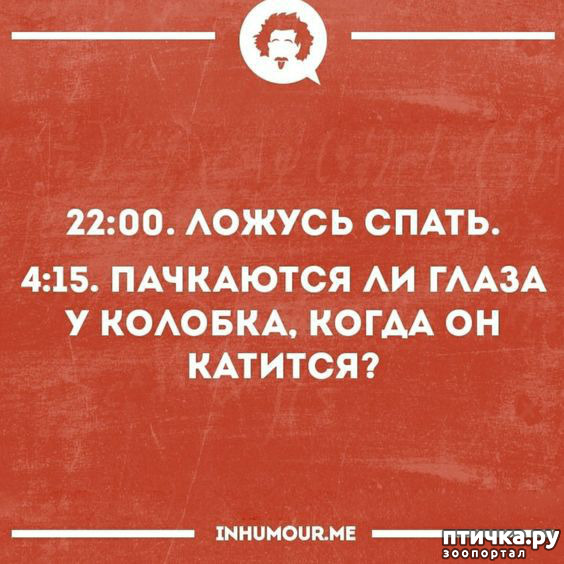 ���� 14: ������� � ������ ������ 3