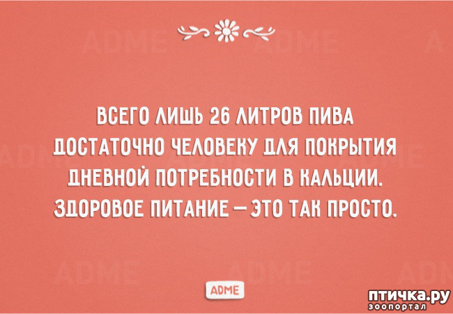 ���� 20: ������� � ������ ������ 3