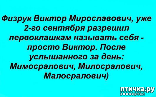 ���� 24: ������� � ������ ������ 3